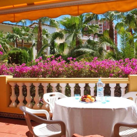 Sunny Apartment Aldea Del Mar Near The Sea Τορεβιέχα Εξωτερικό φωτογραφία